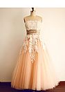 Strapless Pink Tulle Prom Dress with White Applique