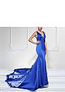 Royal Blue Mermaid Prom Dresses with Insert Sheer Applique