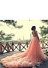 Fabulous Orange Floral Applique Evening Dresses with Detachable Train