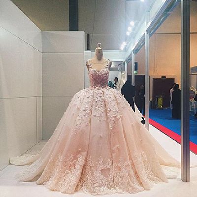 Pink Appliqued Ball Gown Quinceanera Dress Bridal Gowns