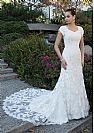 Short Sleeves Lace Mermaid Wedding Dress