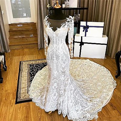 Wedding Dress with Beautiful Lace Patterns & Long Sleeves