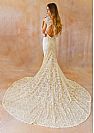 Vintage Lace Bridal Gowns with Open Back & Short Sleeves