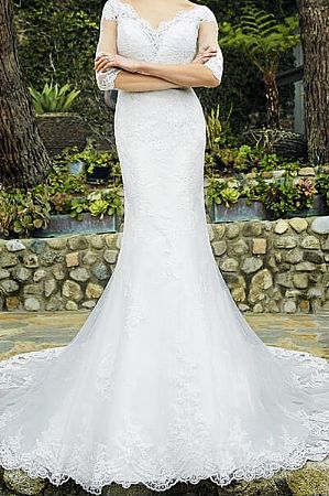 Delicate Lace Appliqued Wedding Dress with Half Sleeves