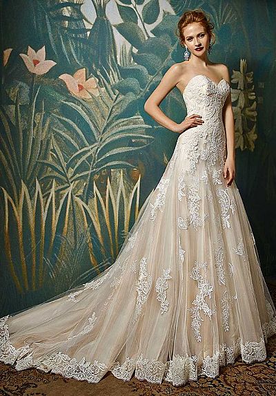 Beautiful Champagne Lace Appliqued Wedding Dress